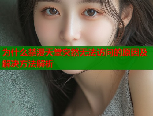 为什么禁漫天堂突然无法访问的原因及解决方法解析  第1张