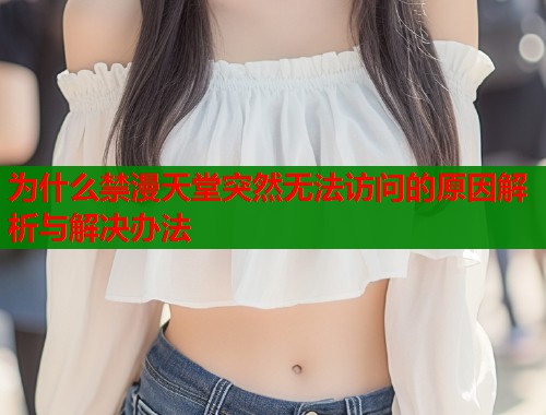 为什么禁漫天堂突然无法访问的原因解析与解决办法  第1张