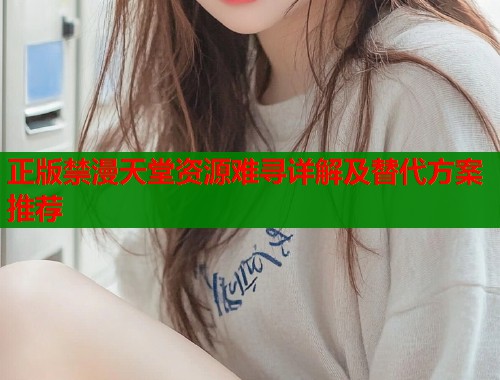 正版禁漫天堂资源难寻详解及替代方案推荐  第1张