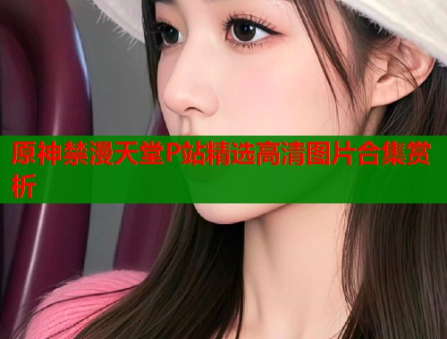 原神禁漫天堂P站精选高清图片合集赏析  第1张